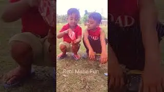 Funny viral video status today #shorts #shortsfeed #ashortaday #funny #comedy #viral