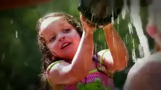 Facts of  Amazon Rainforest