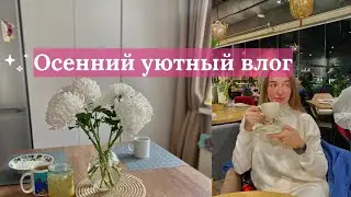 Осенний уютный влог. Готовим тортики, встречаем рассвет на горе.