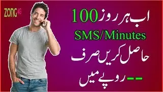 Zong Flutter Package 2018