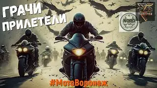 Мото ГРАЧИ ПРИЛЕТЕЛИ | апрель 2023