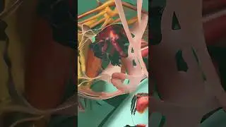 ‘The Next Day’ ft. Jamie Irrepressible (Mind Against Remix) #shorts