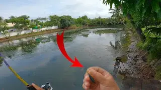 Fishing bawog taga oi