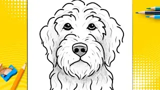 How To Draw A Dog - Labradoodle