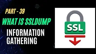 Mastering SSL/TLS Analysis with ssldump: A Comprehensive Guide | Information Gathering | Kali Linux