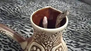 Гляделки