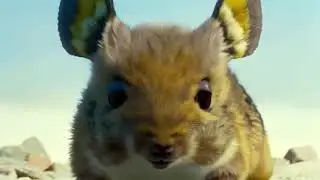 Pika 1.0 Tech Demo - Mark Digital Media