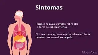 Você Sabia? - Meningite