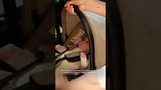 Автокресло AVY | Happy Baby
