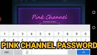Summertime saga Pink channel password id