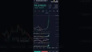 杠杆到底用几倍？（比特币btc、以太坊eth、狗狗币doge、合约、现货交易）