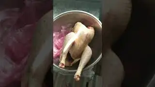 Тушка мускусной утки. И сравнение ее с другой птицей.