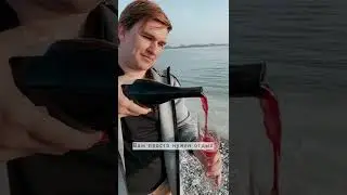 Когда научился отдыхать