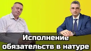 Исполнение в натуре