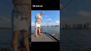 AHAHHA ŞEREFSİZ 😂😂😂 #trout #troutfishing #alabalık #fishing #alabalıkavı