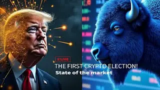 US election and what it means for crypto - State of the market