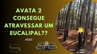 É a vez do AVATA 2 tentar atravessar um EUCALIPAL de 350m - CONSEGUIU IR ATÉ O FINAL ??