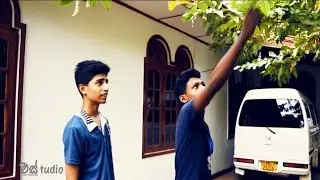 Money does grow on trees! සල්ලි ගස් වල හැදෙනවා බ්‍රෝ!