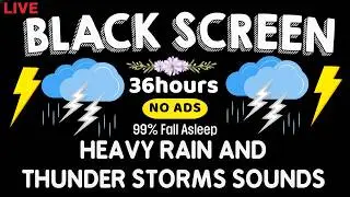 🔴 Defeat Insomnia in 5 Minutes - Calm Your Brain for Better Sleep Tonight