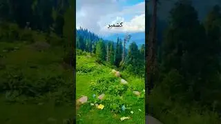 Kashmir beautiful point short video viral