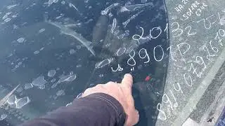 ПЕРЕГОН ВЛАДИВОСТОК - НОВОКУЗНЕЦК ХОНДА ФРИД.