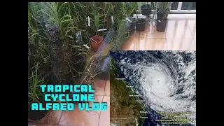 Tropical cyclone Alfred Vlog