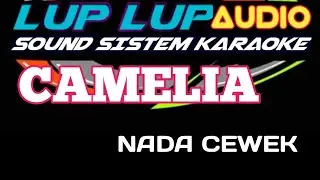 CAMELIA KARAOKE DANGDUT LAWAS NADA WANITA