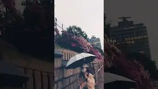 #hkview