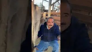 Pajarete  :)  no me hizo dańo