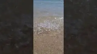 Respect #shorts Sound of the sea #waves #wavesounds #sea #seasound #seashore