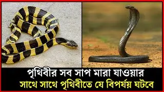 পৃথিবীর সব সাপ মরে গেলে পৃথিবীতে যে বিপর্যয় ঘটবে