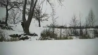 Маленькие радости жизни