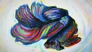 Oil Pastel Lesson - Betta Fish (by Mr. Otter Studio)