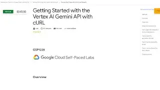 Qwiklabs | Getting Started with the Vertex AI Gemini API with cURL [GSP1228]