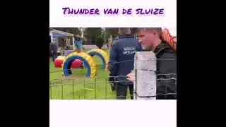 Thunder van de Sluize - NVBK Malinois 1