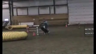 Jesse in Masters Jumpers