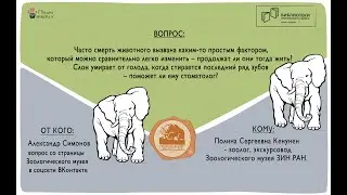смерть
