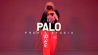 Puri, kilate Telsa, Kalibwoy - Palo | LITCHI choreography