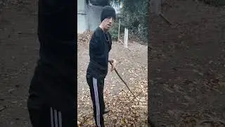 шварц нигер
