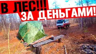 В ТАЙГУ С ПАЛАТКОЙ НА МЕТАЛО КОП! НАШЛИ ТРАКТОРНУЮ МАСТЕРСКУЮ В ЛЕСУ!