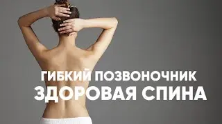 ЗДОРОВАЯ СПИНА / Восстанавливаем подвижность позвоночника #лфк