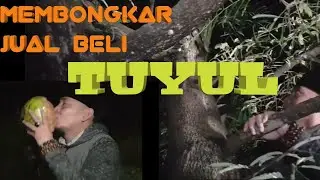 [LIVE] PLACE TO BUY AND SELL TUYUL?