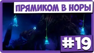 Ori and the Will of the Wisps (#19) - Прямиком в норы