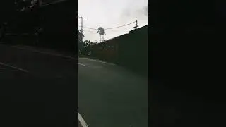 Поезд и шлагбаум на Шри Ланке