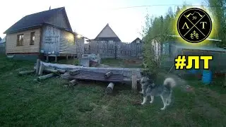 [VLOG_ЛТ#194]: три месяца прошлого... Жизнь в деревне.