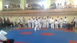 Х Открытый Всероссийский Турнир по каратэ-до. Кубок Ростов Open 2015