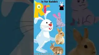 Alphabet R Sound I Letter r I R is for Rabbit 🐇🐇🐇 #shorts