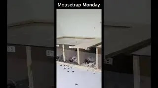 How Small Of A Hole Can A RAT Squeeze Through?