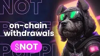 Not bored puppies | 🚀 New Week, New Withdrawals! 💸