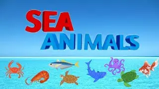 Learn Sea Animals || Sea Animal Names || Animals || Animals Song